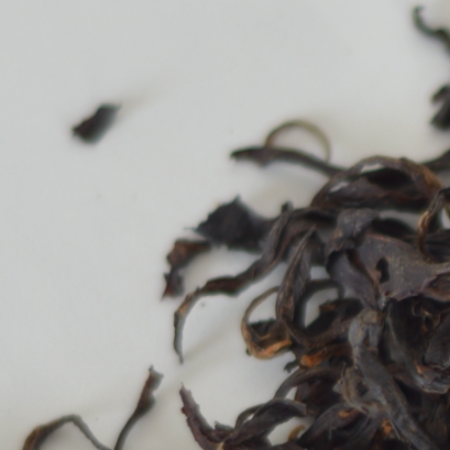 TIEGUANYIN  BLACK  TEA   鐵觀音紅茶